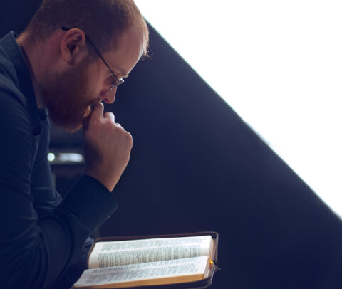 библиистика